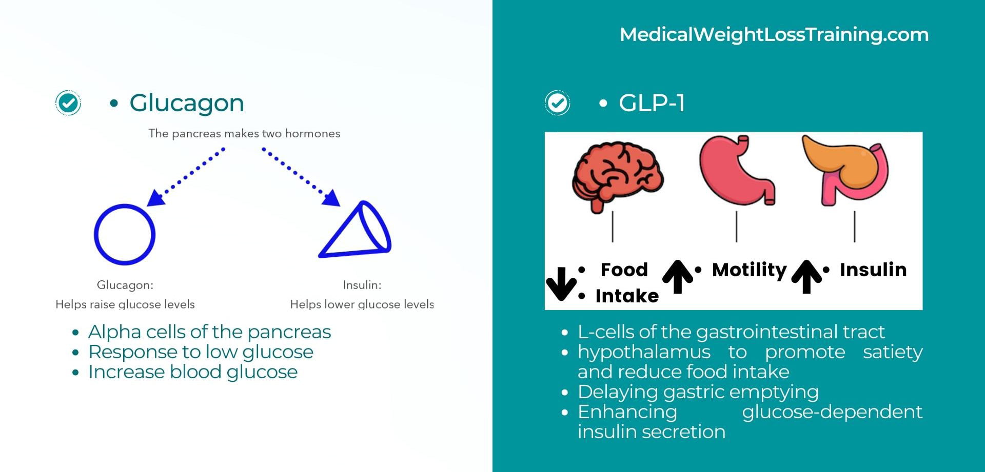 Photo inspiration: Visual Reference: Semaglutide Injection Protocol For Medical Weight Loss Treatment